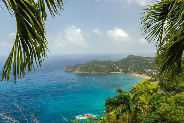 Caribbean-Tobago Castara Bay ocean beach and jungle landscape
